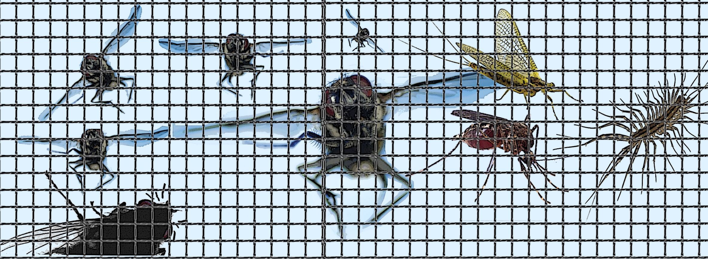 Líbrate de moscas y mosquitos